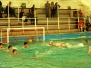 2012-04-21 [R] SC Quinto - Lavagna 90 B 17-5
