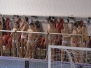 2013-04-06 [R] ANPI - SC Quinto