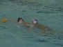 2013-05-25 [R] SC Quinto - Chiavari N