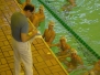 2013-05-26 [A] SC Quinto - Lerici Sport