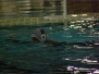 2013-06-28 [Jr] SC Quinto - GS Aragno  11-4