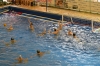 scquinto-cnsestri-12