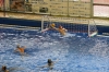 scquinto-cnsestri-25
