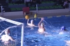 idea-nuoto-albenga-sc-quinto-b-19