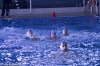 idea-nuoto-albenga-sc-quinto-b-27