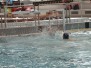 2014-05-07 [R] SC Quinto B - Lerici Sport