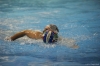 B&B SC Quinto - RN Imperia-36