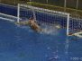 2014-12-13 [1Sq] B&B SC Quinto - Pallanuoto Trieste