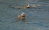 B&B SC Quinto - Pallanuoto Trieste-97