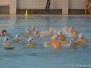 2014-12-21 [E] SC Quinto B - S Sturla B