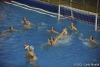 B&B SC Quinto - Brescia Waterpolo-23