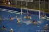 B&B SC Quinto - Brescia Waterpolo-42