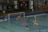 B&B SC Quinto - Brescia Waterpolo-52