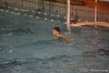SC Quinto - Lerici Sport-20.jpg