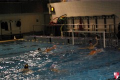 2015-01-31 [R] SC Quinto B - Rapallo Nuoto