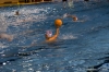 SC Quinto  - RN Bogliasco-66