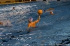 SC Quinto  - RN Bogliasco-67