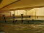 2015-03-07 [R] Venere Azzurra - SC Quinto