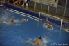 B&B SC Quinto - Torino 81-79.jpg