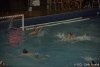 B&B SC Quinto - Chiavari Nuoto-115.jpg