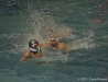 B&B SC Quinto - Chiavari Nuoto-30.jpg
