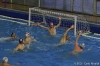 B&B SC Quinto - Chiavari Nuoto-66.jpg