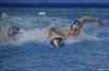 B&B SC Quinto - Chiavari Nuoto-13.jpg