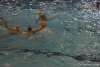 CN Sestri - SC Quinto-8.jpg