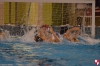 SC Quinto - Pro Recco  007.jpg