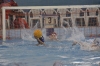SC Quinto - CN Sestri-28.jpg