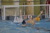 Sc Quinto A - Chiavari Nuoto-11.jpg