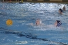 Sc Quinto A - Chiavari Nuoto-18.jpg