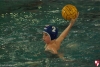 Rapallo Nuoto - SC Quinto  021.jpg