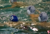 Rapallo Nuoto - SC Quinto  034.jpg