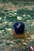 Rapallo Nuoto - SC Quinto  067.jpg