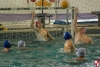 Rapallo Nuoto - SC Quinto  068.jpg