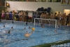 SC Quinto - Idea Sport Albenga-45.jpg