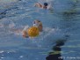 2015-05-09 [R] SC Quinto A - SS Sturla