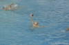 2015-11-22_U17_SC Quinto-RN Bogliasco 2-13_Roberto Gilardo-11