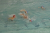 2015-11-22_U17_SC Quinto-RN Bogliasco 2-13_Roberto Gilardo-25