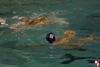 Rapallo Nuoto - SC Quinto - 021