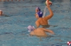 Chiavari Nuoto - SC Quinto - 004