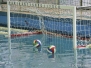2016-01-24 [E] RN Bogliasco - SC Quinto A 10 - 6 [Foto di Roberto Gilardo]