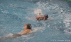 Promogest - SC Quinto-32