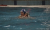 Promogest - SC Quinto-43