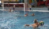 Promogest - SC Quinto-46