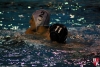 SC Quinto - Rapallo Nuoto - 045