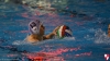 Sc Quinto A - RN Imperia 038