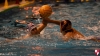 Sc Quinto A - RN Imperia 042