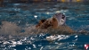 Sc Quinto A - RN Imperia 056